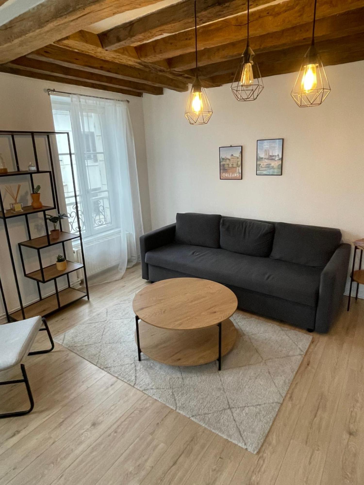 Charmant Appartement Orleans ! Exterior foto